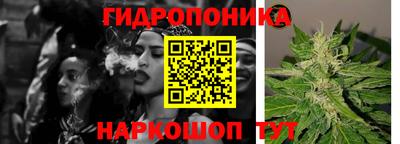 прущие крисы Новокубанск