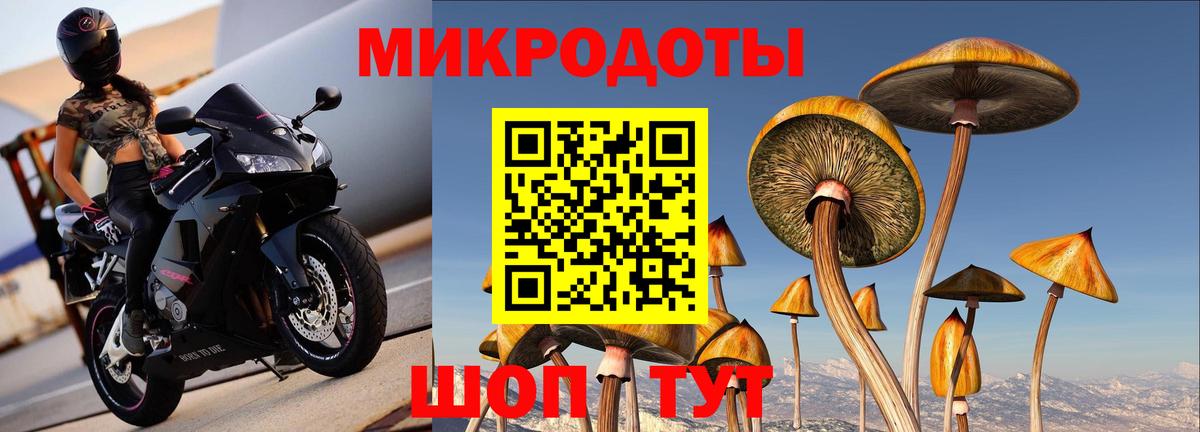 Галлюциногенные грибы MAGIC MUSHROOMS Балашиха