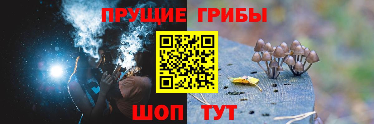 где купить наркоту  Галлюциногенные грибы прущие грибы  Вход с VPN  Балашиха 